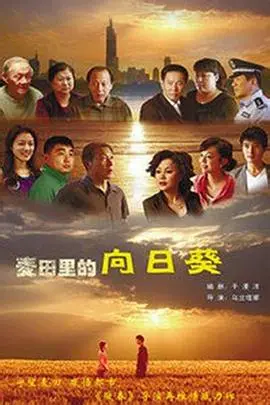 《葵花进城》：小人物的奋斗史，笑泪交织的现实写照，看农村女孩如何在城市扎根！