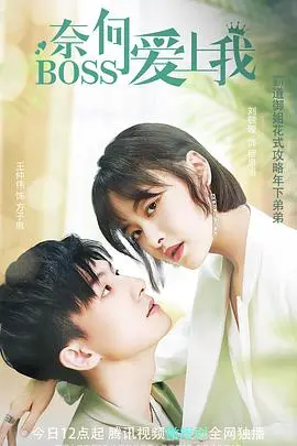 《奈何BOSS爱上我》：霸道总裁甜蜜追爱，高甜剧情让你少女心爆棚！